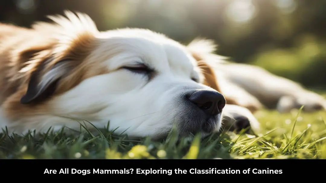 Are All Dogs Mammals? Exploring the Classification of Canines - Bestdevlife